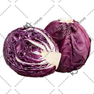 Purple cabbage