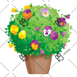 flower pot